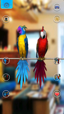 Talking Parrot Couple Free