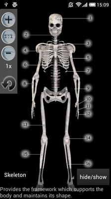 【免費醫療App】Human Bones lite-APP點子