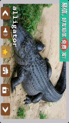 【免費教育App】儿童动物-APP點子