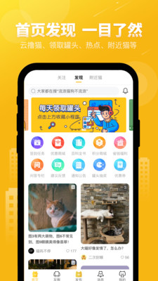 友猫-分享宠物的美好世界