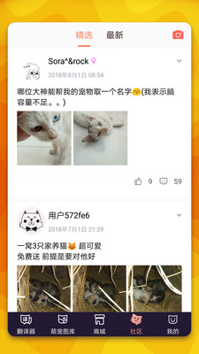 猫语翻译器