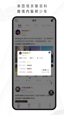 茄境