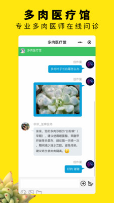 多肉圈