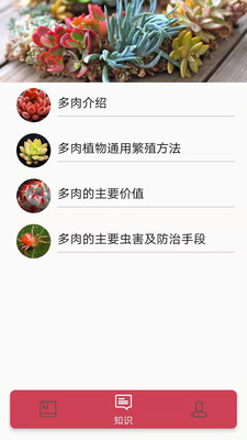多肉花草成长日记