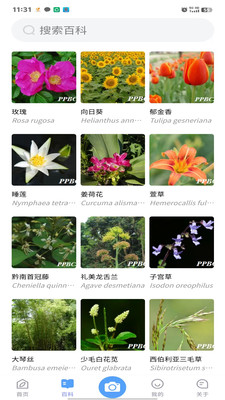 花伴侣专业版-植物智