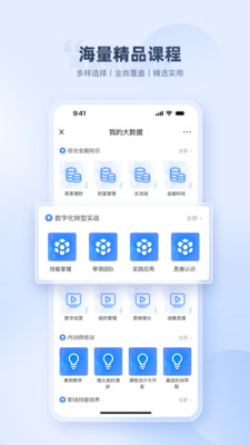 易则易知