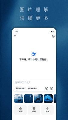 DeepSeek-AI 智能对话助手