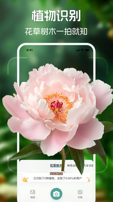 识花君