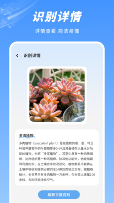 拍照识图-识别