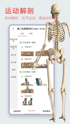 3Dbody解剖-体积小，电脑端同步