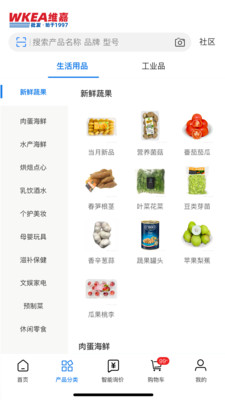 WKEA维嘉