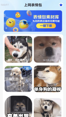 免费天天上网