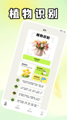奶奶的小农院