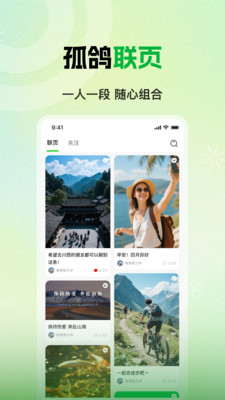 孤鸽