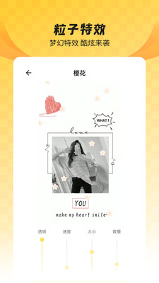 羞兔全局壁纸-全局透明壁纸