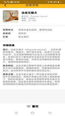 乐看刷刷