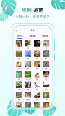 动物世界百科