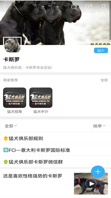 猛犬俱乐部-猛犬交流平台