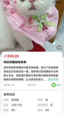 宠都