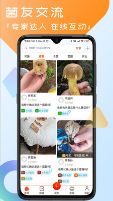 菌窝子-蘑菇识别