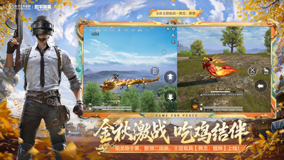 和平精英