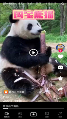 速影