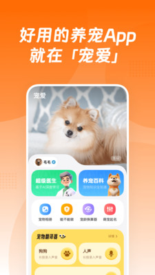 宠爱-你的宠物养育专家