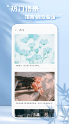 每日语录