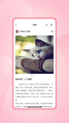 灰耳朵陪宠