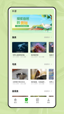 动物世界大全