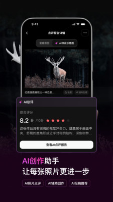 500px中国版