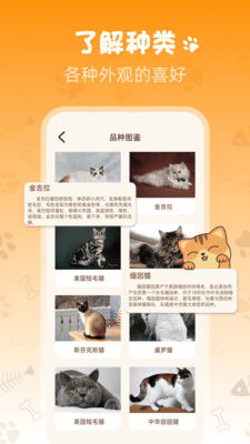 Peppycat宠物翻译器