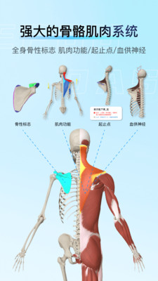 解剖大师-精细好用综合性3D解剖