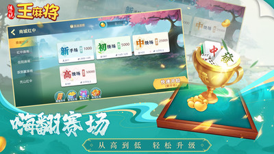 随便玩王麻将