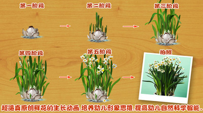 免費下載教育APP|宝宝种鲜花 1 app開箱文|APP開箱王