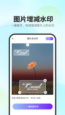 去印宝