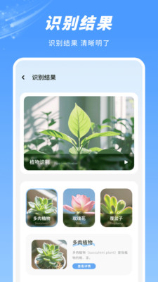 拍照识图-识别