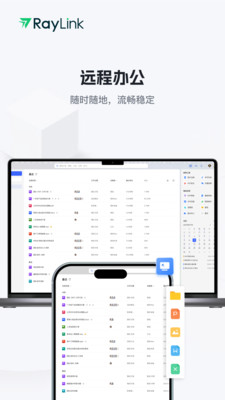 RayLink-远程控制
