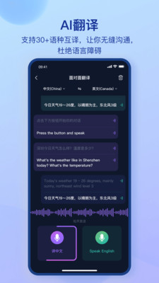 DanaID-DanaID智能体