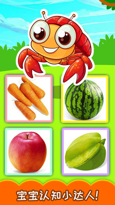 宝宝蔬菜水果认知