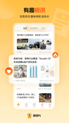 墨鱼丸