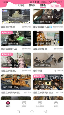 途猫-途猫关爱流浪动物