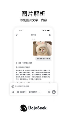 BajoSeek-专业AI搜索工具