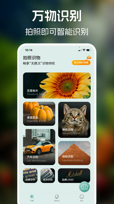 识花君