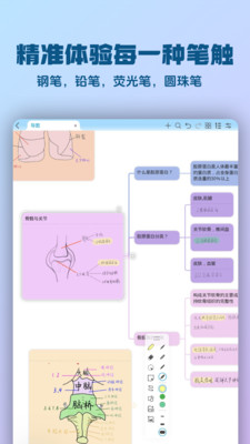 Mindhive思维导图-支持手写