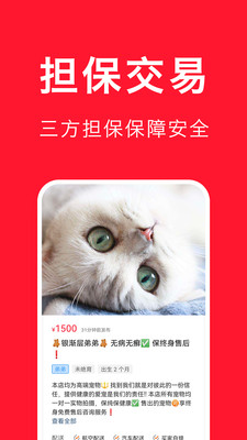 宠物宝-一站式宠物服务平台