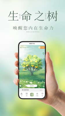 泉疗愈-冥想