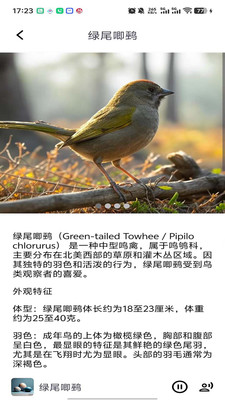 小悦耳