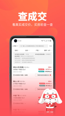 兔博士