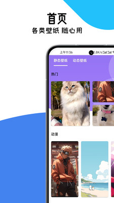 存了个图-视频图片解析字幕剪辑